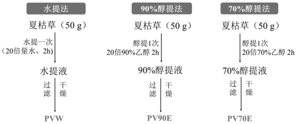 Prunella vulgaris L. extract with anti-HSV activity, and preparation method and medical application of Prunella vulgaris L. extract