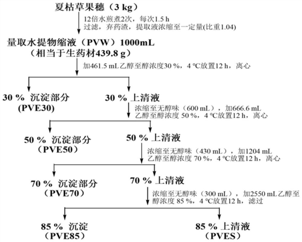 Prunella vulgaris L. extract with anti-HSV activity, and preparation method and medical application of Prunella vulgaris L. extract