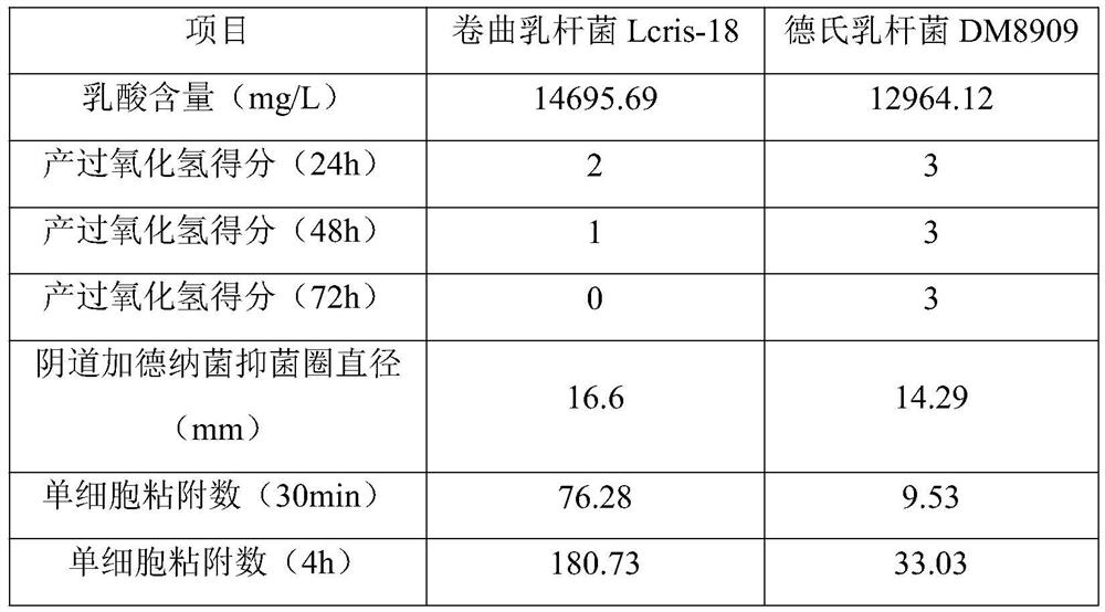 Lactobacillus crispatus and application thereof