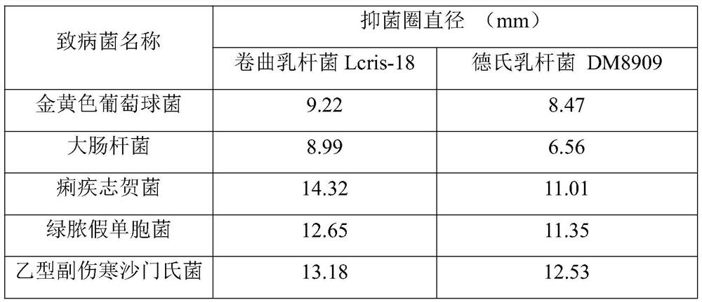 Lactobacillus crispatus and application thereof