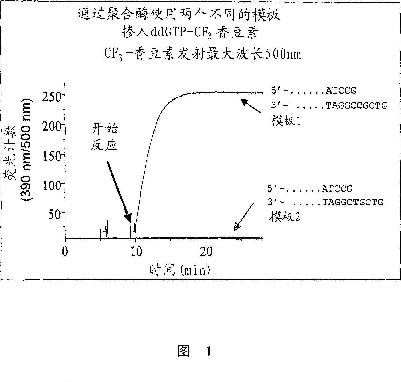 Terminal-phosphate-labeled nucleotides and methods of use