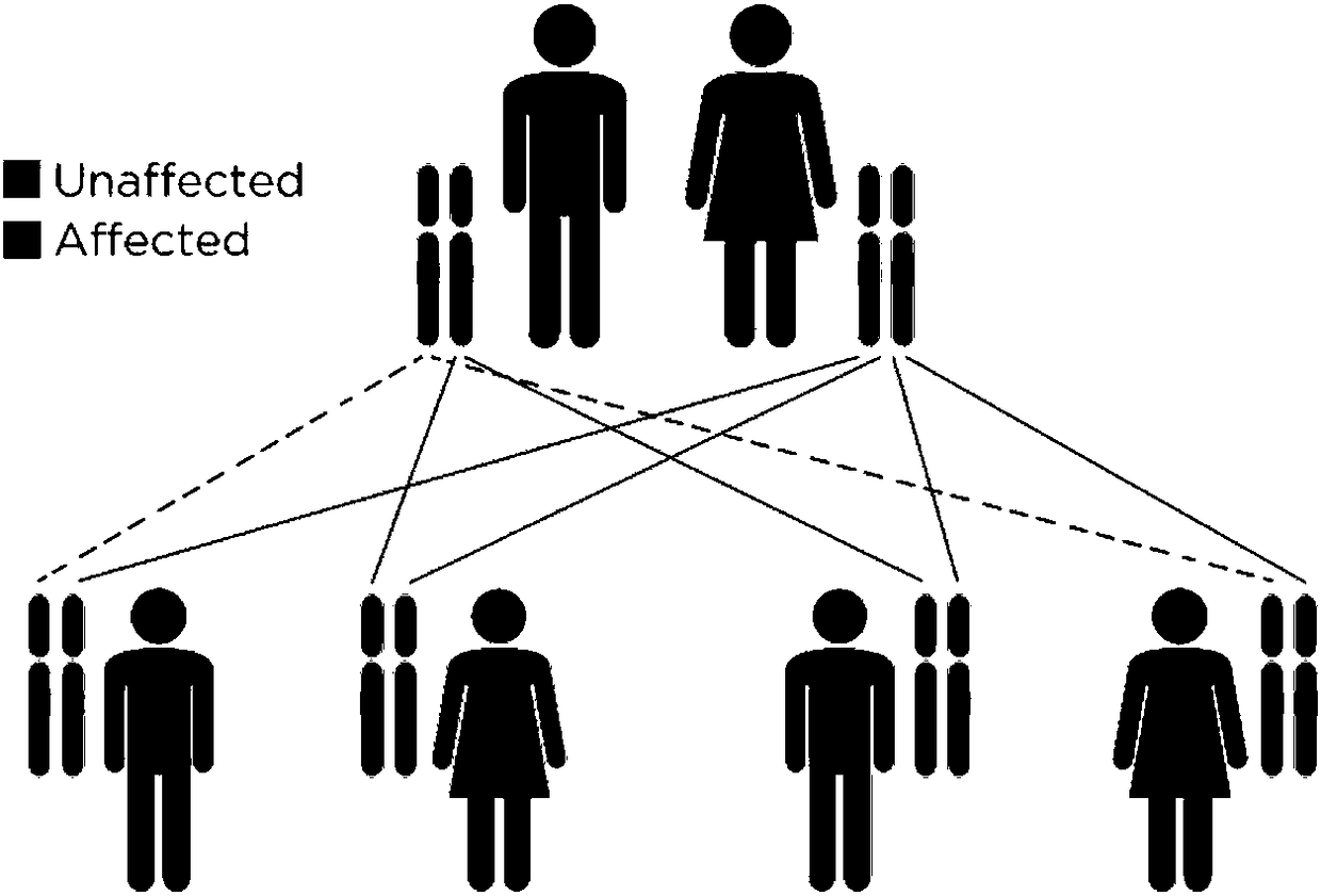 A detection method and a detection kit for PKD1 gene and PKD2 gene mutation