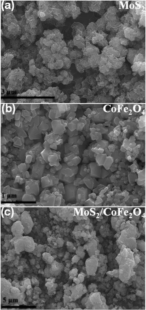 Preparation method and application of magnetic heterojunction catalyst for peroxymonosulfate activation