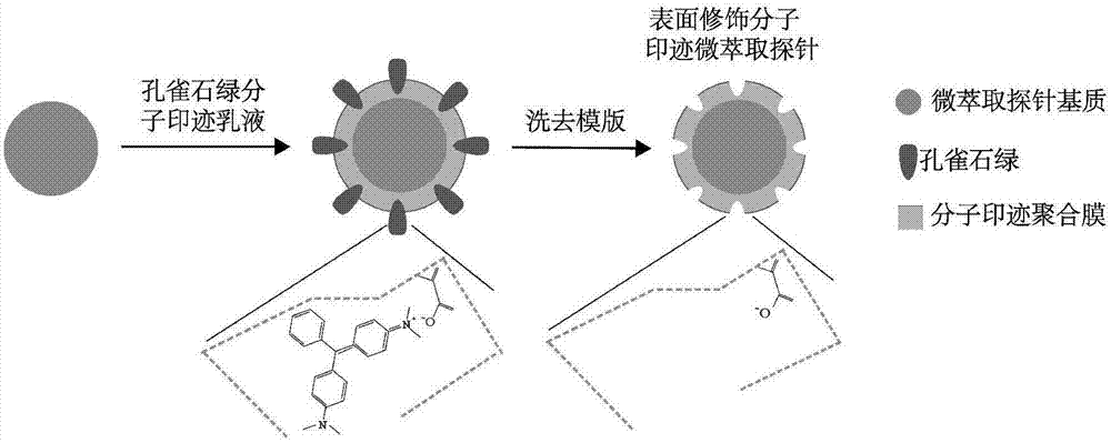 Surface-modified molecular-imprinted solid-phase microextraction probe and preparation and application thereof