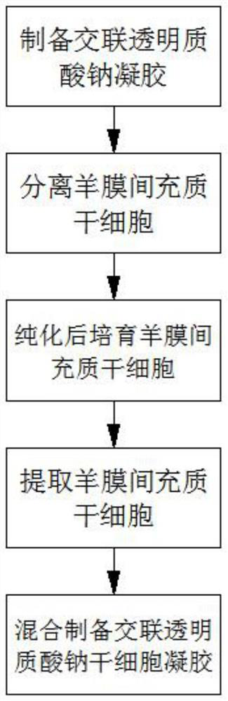 Preparation method of cross-linked sodium hyaluronate stem cell gel for uterine cavity