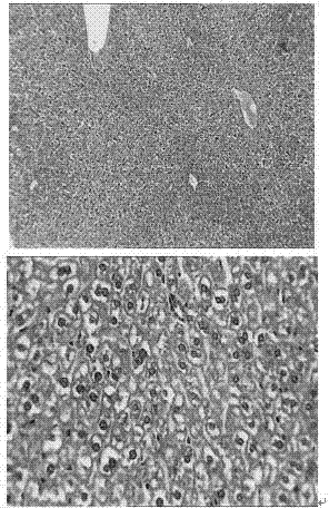 Citranguma alcohol effect-dispelling beverage