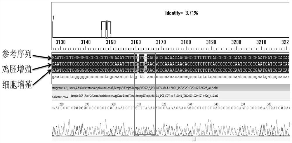 A method for culturing serum-free whole suspension cells of Newcastle disease vii attenuated strain