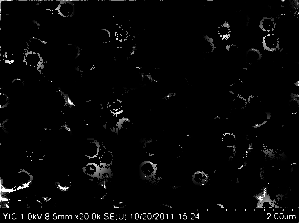 Water-borne polyurethane foam layer for synthetic leather and preparation method for water-borne polyurethane foam layer