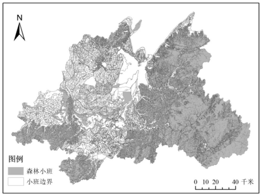 Forest health assessment method based on entropy weight-cloud model