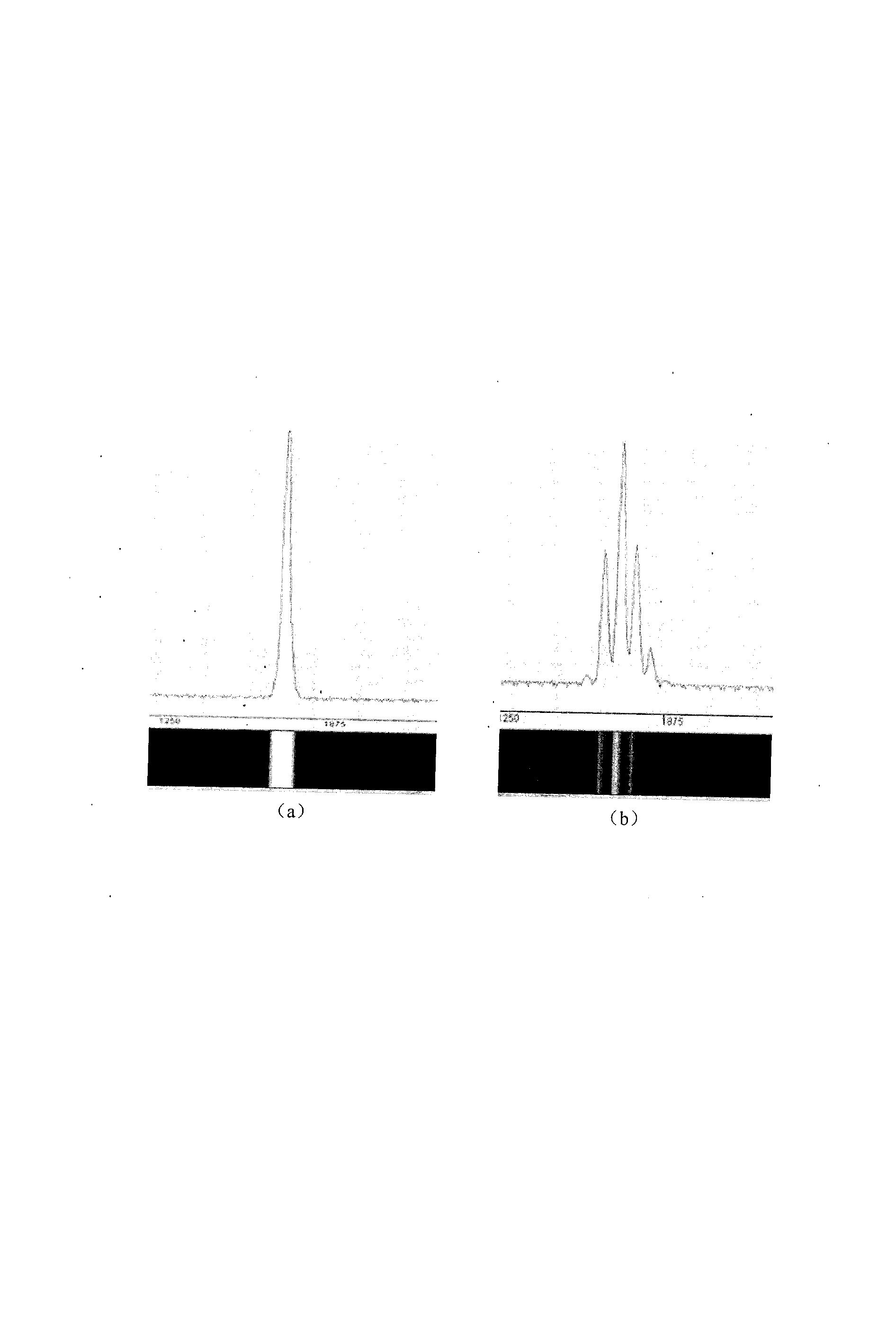 Liquid density on-line monitoring system based on ultrasonic diffraction grating