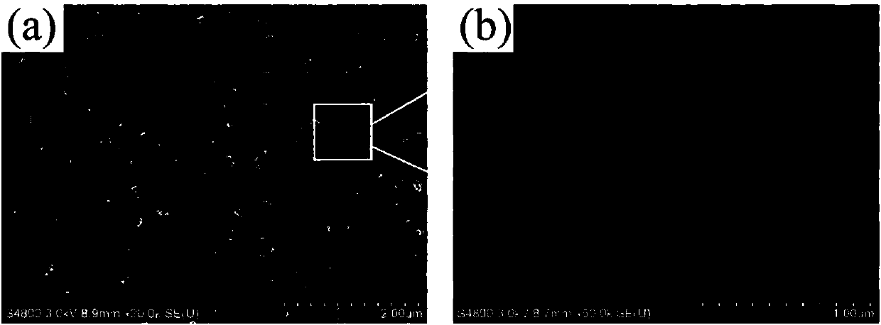 Preparation method of ZnIn2S4/TiO2 nanotube composite membrane photoanode for photocathodic protection