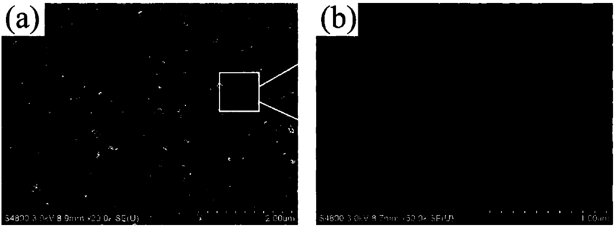 Preparation method of ZnIn2S4/TiO2 nanotube composite membrane photoanode for photocathodic protection