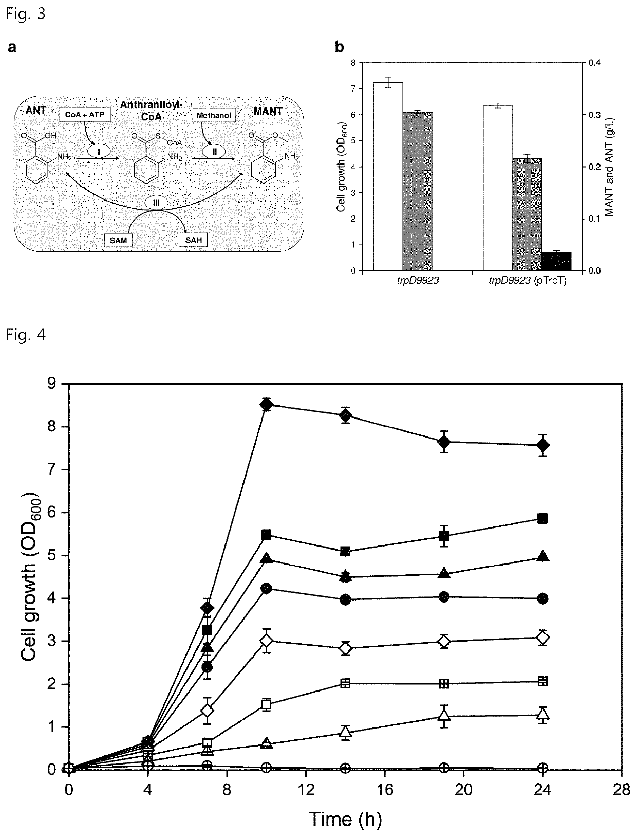 Recombinant microorganism capable of producing methyl anthranilate and method of producing methyl anthranilate using the same