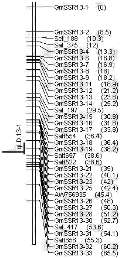 Soybean lodging-resistant major gene locus and application