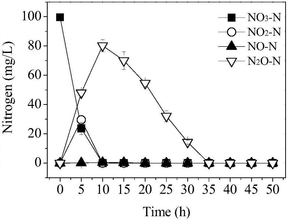 Pseudomonas aeruginosa being tolerant to zinc ion toxicity and application thereof