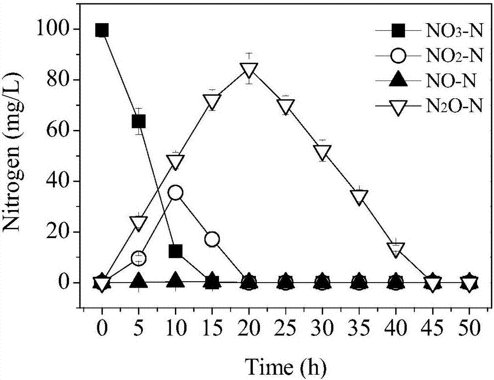 Pseudomonas aeruginosa being tolerant to zinc ion toxicity and application thereof