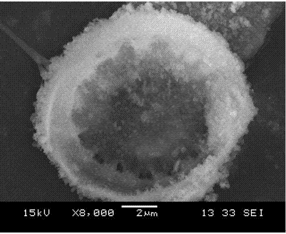 Method of recovering Pb&lt;2+&gt; from electrolytic zinc rinsing waste water by using manganese oxide modified diatomite