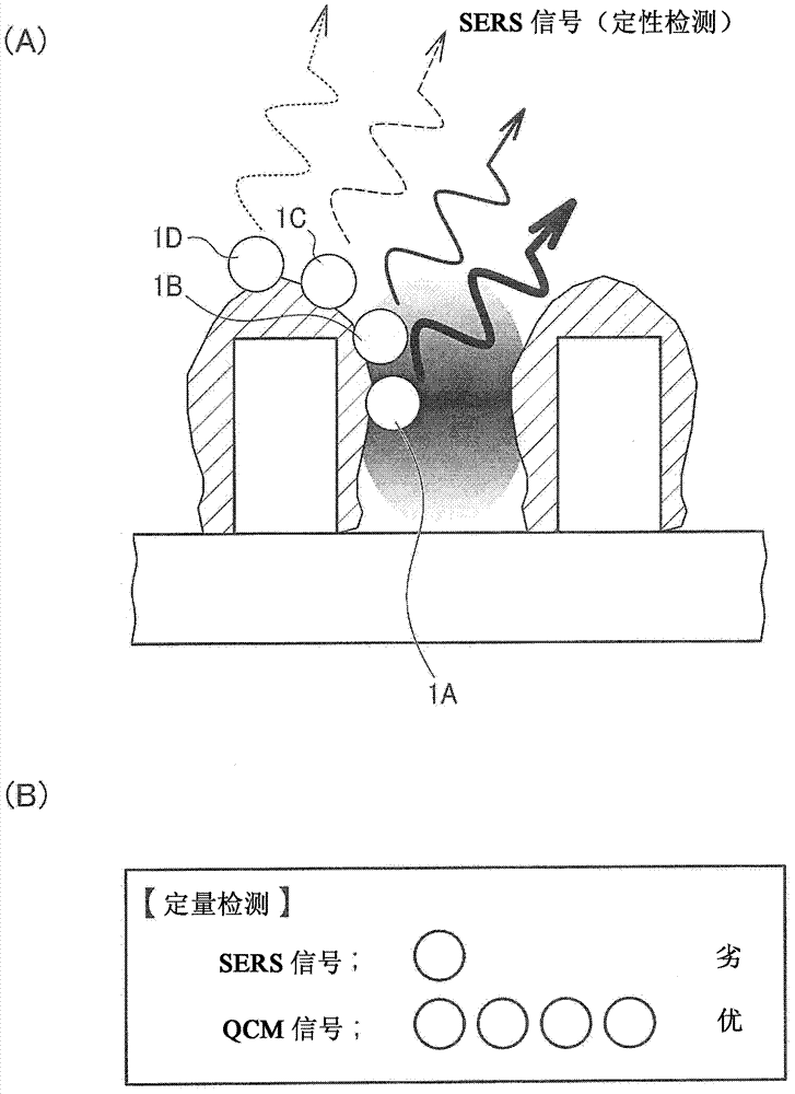 Detection device