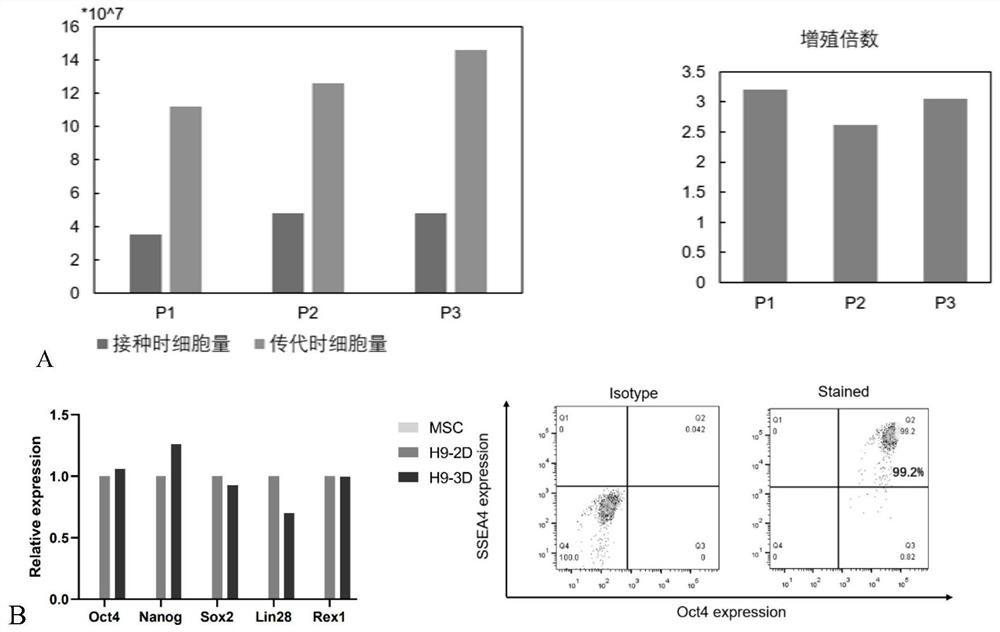 Method for preparing pancreatic beta cells and application of pancreatic beta cells