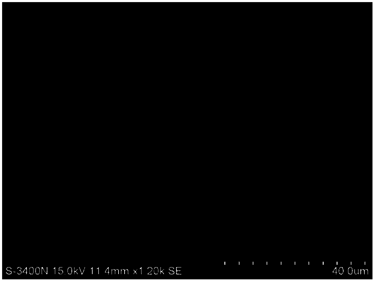 Sunscreen composition composed of particulates containing methoxy cinnamate octyl and avobenzone and application thereof