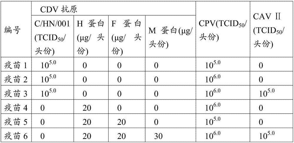 Vaccine composition, kit and application