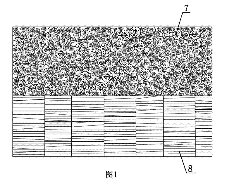 Carbonation wooden wall and construction method thereof