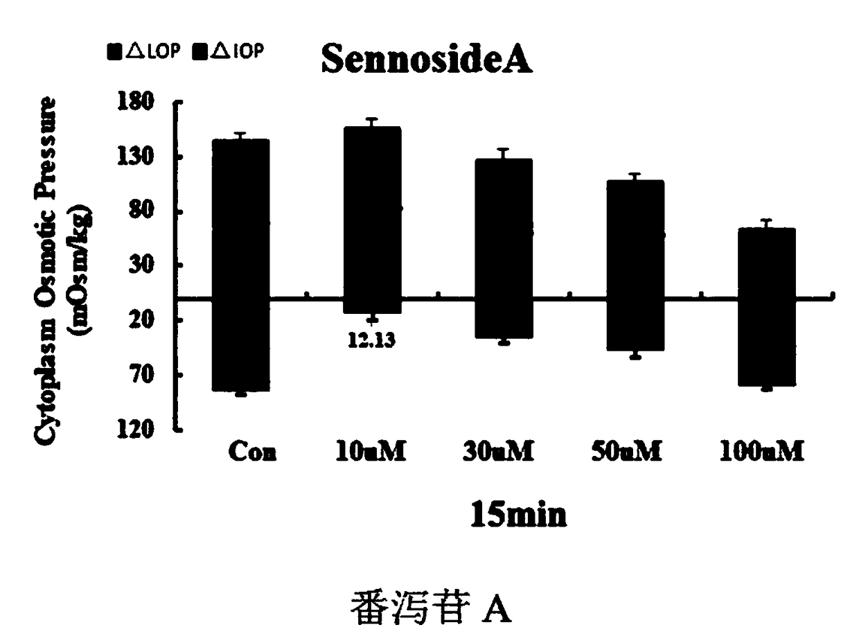 Drug composition for treating encephaledema by taking intracellular osmotic pressure as target