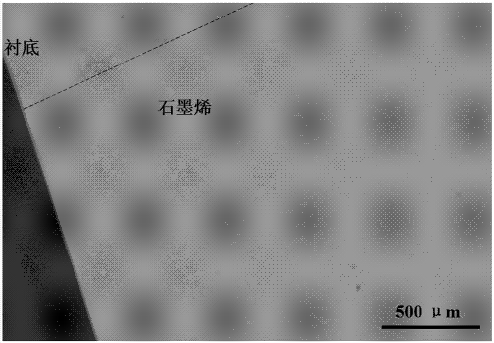 Method for transferring graphene based on sublimation method