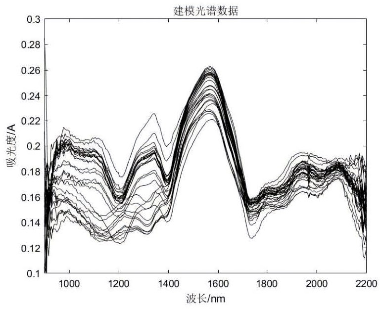 Insulation paper water content evaluation method based on robust wavelength screening