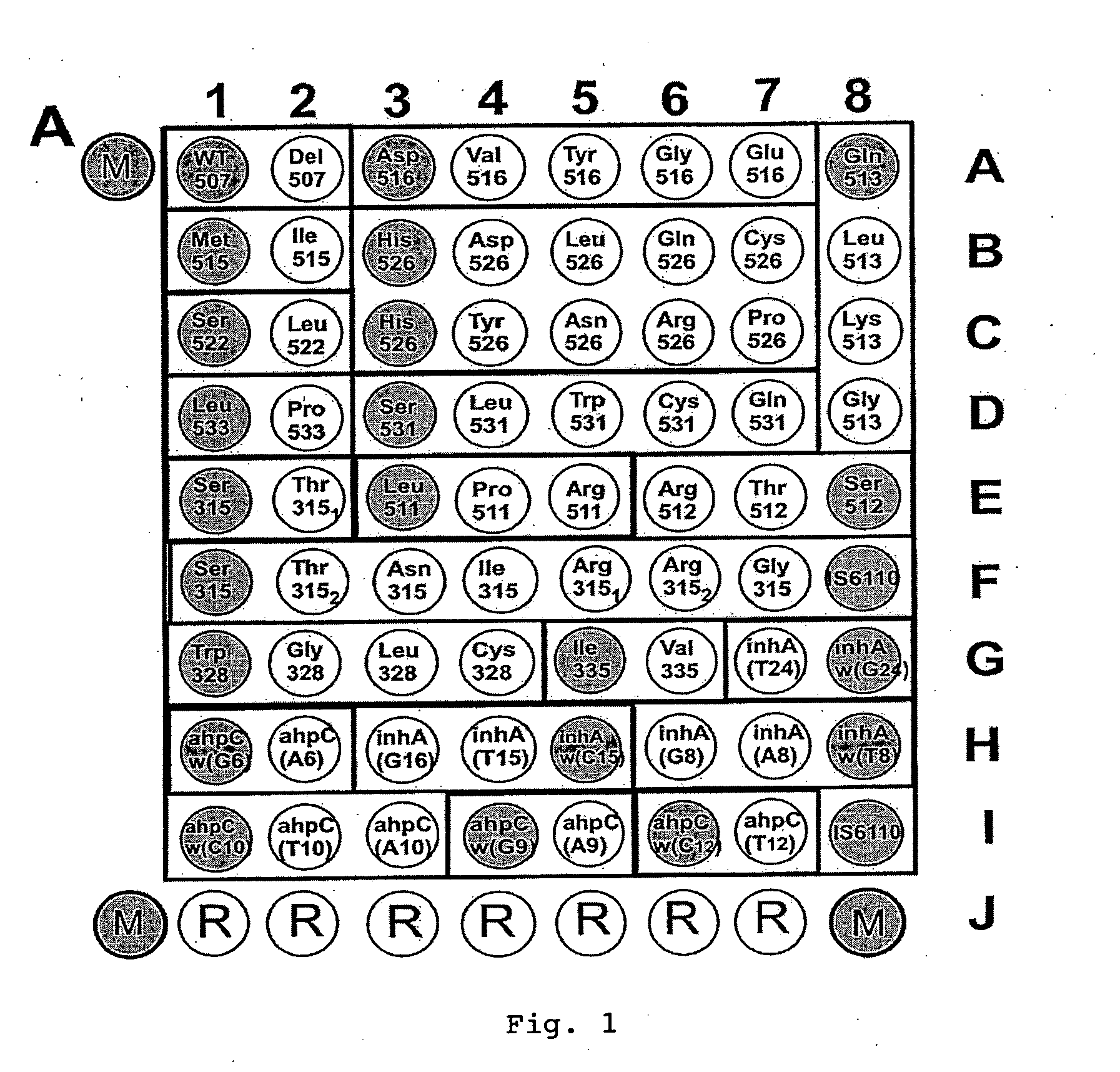 Method for simultaneous detection of Mycobacterium tuberculosis complex and identification of mutations in mycobacterial DNA resulting in the resistance of microorganisms to rifampicin and isoniazid on biological microarrays, set of primers, biochip, and set of oligonucleotide probes used in the method