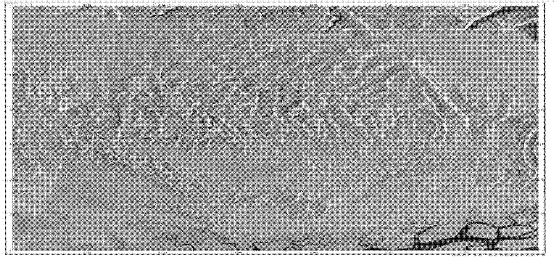 Radar satellite remote sensing coal-exploration method