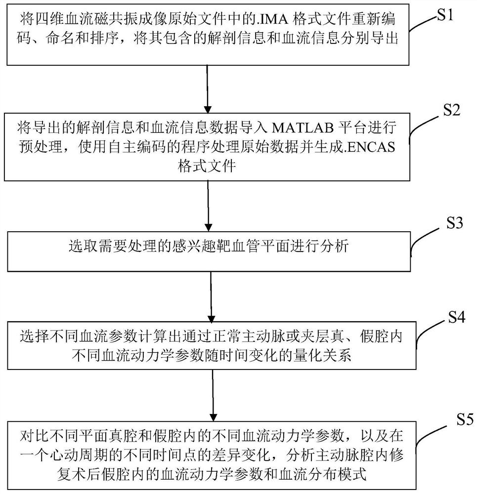 Aortic dissection endoluminal repair postoperative false lumen blood flow state evaluation method