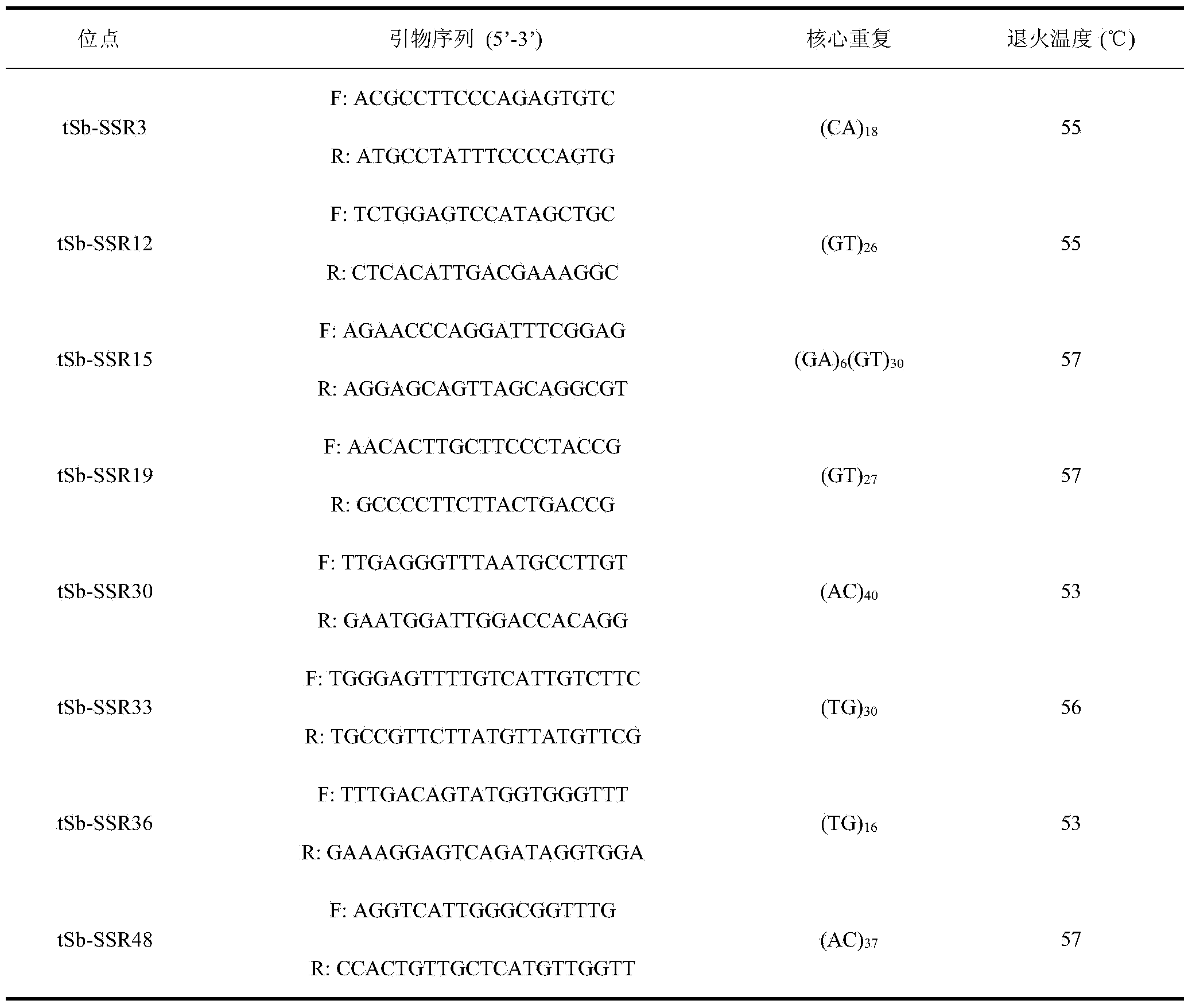 Sacalia bealei microsatellite marked specific primer and detection method