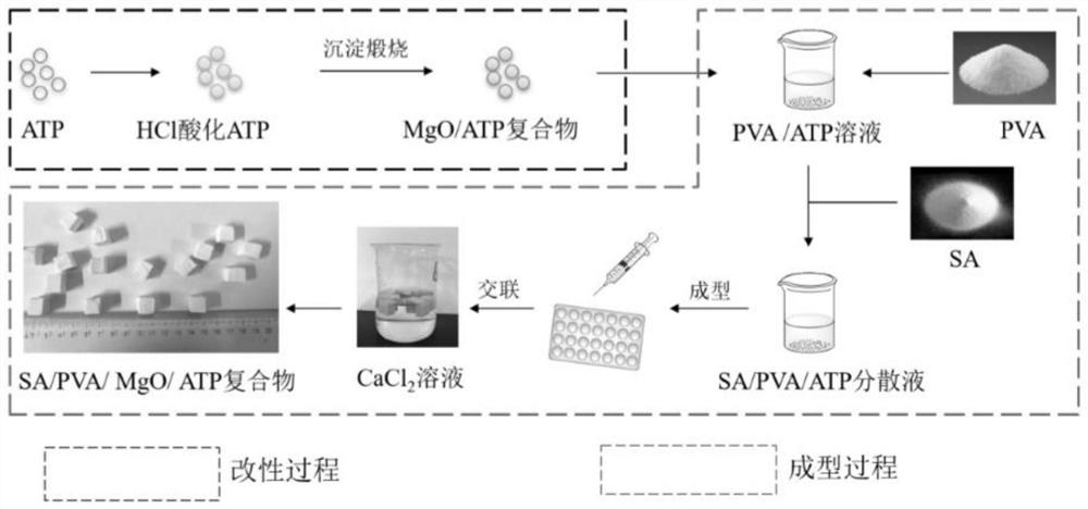 Modified attapulgite/sodium alginate/polyvinyl alcohol composite adsorbent as well as preparation method and application thereof