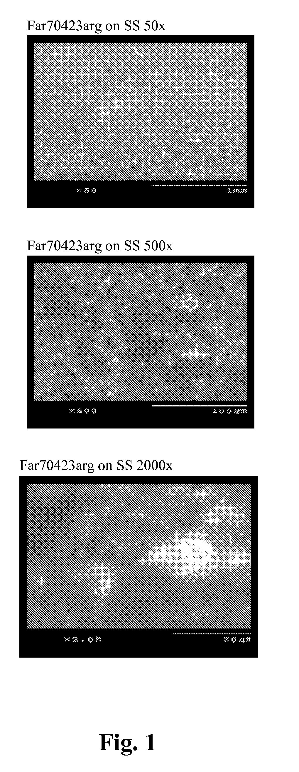 Compositions and processes for deposition of metal ions onto surfaces of conductive substrates