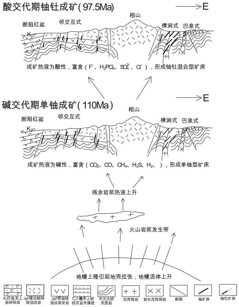 Method for constructing mineralization mode of hydrothermal thorium deposit