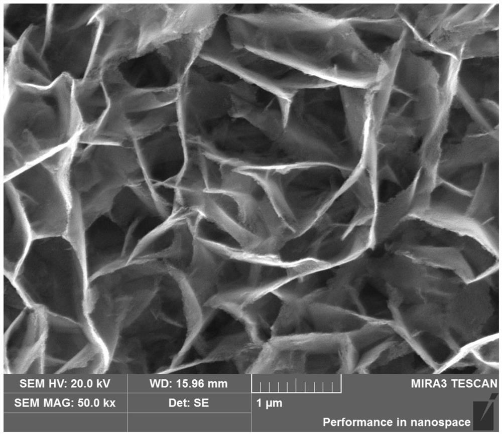 Three-dimensional mesh wall-shaped all-solid-state lithium ion battery negative electrode, preparation method and battery