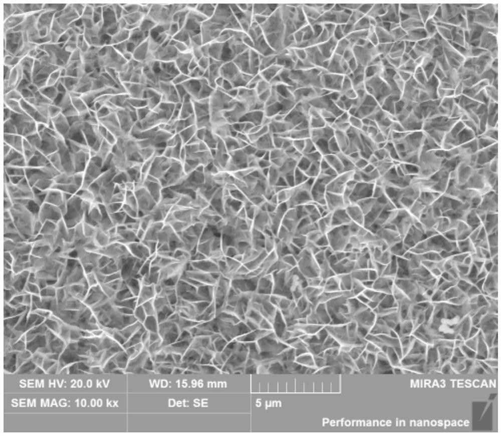 Three-dimensional mesh wall-shaped all-solid-state lithium ion battery negative electrode, preparation method and battery