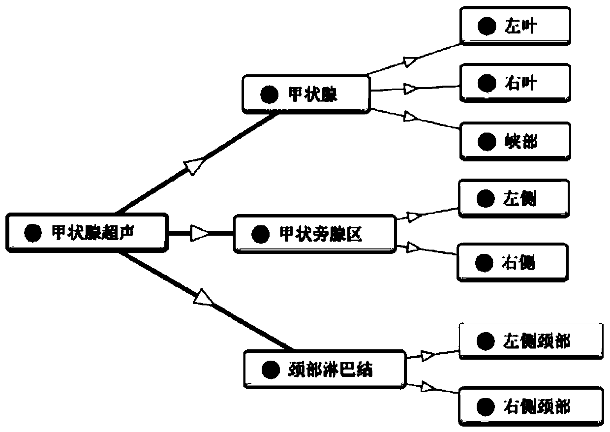 Method for constructing thyroid ultrasound domain ontology