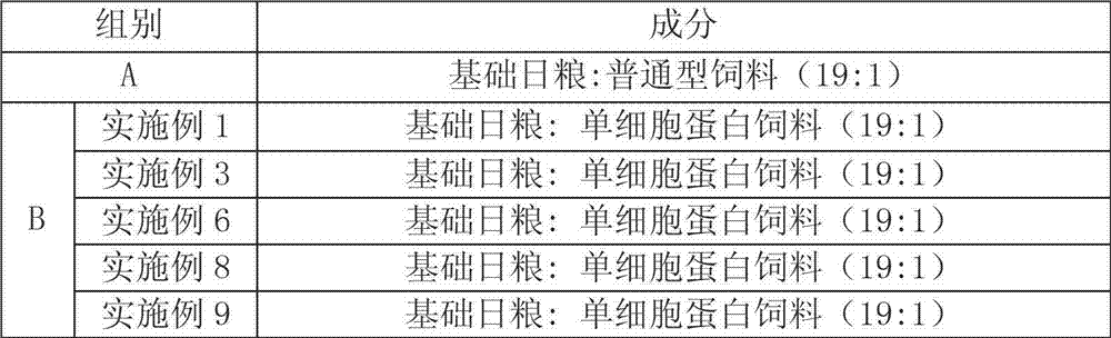 Unicellular protein feed prepared from fermented dragon fruit peel and production method of unicellular protein feed