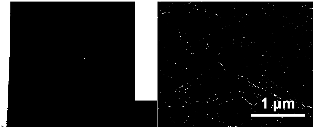 Three-dimensional current collector for metal lithium negative electrode of primary/secondary battery, metal lithium negative electrode and primary/secondary battery