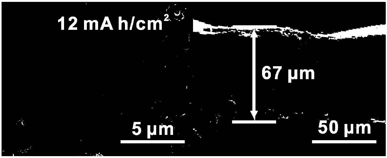 Three-dimensional current collector for metal lithium negative electrode of primary/secondary battery, metal lithium negative electrode and primary/secondary battery