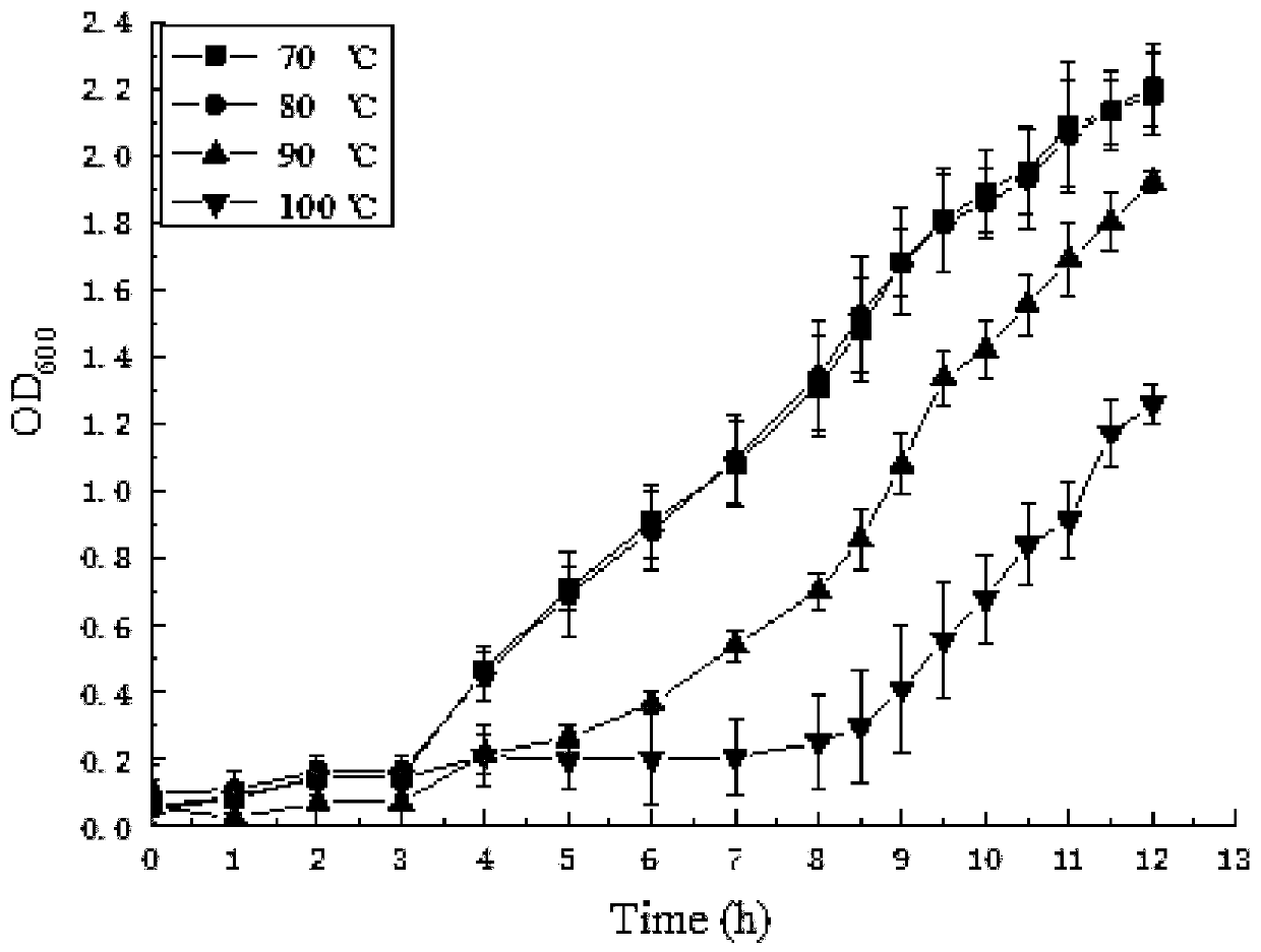 Extremely thermophilic bacteria and application thereof in high-temperature composting fermentation