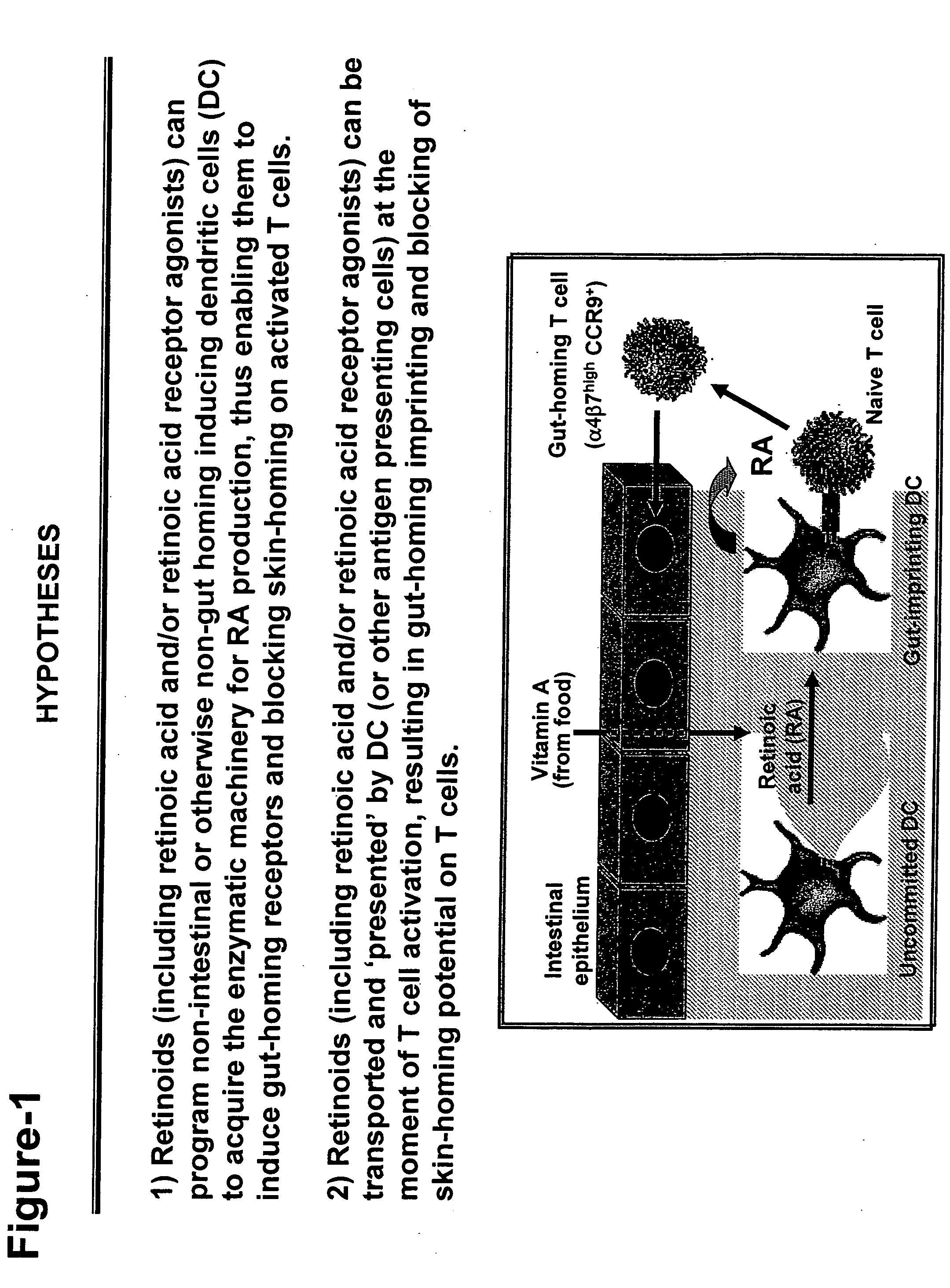 Treating gastrointestinal diseases with modulators of retinoic acid