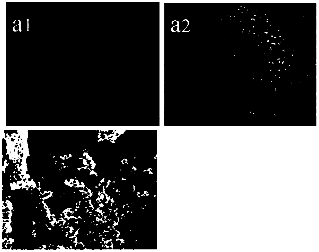 Preparation method of zin-ion-containing tissue engineering scaffold with anti-inflammatory function