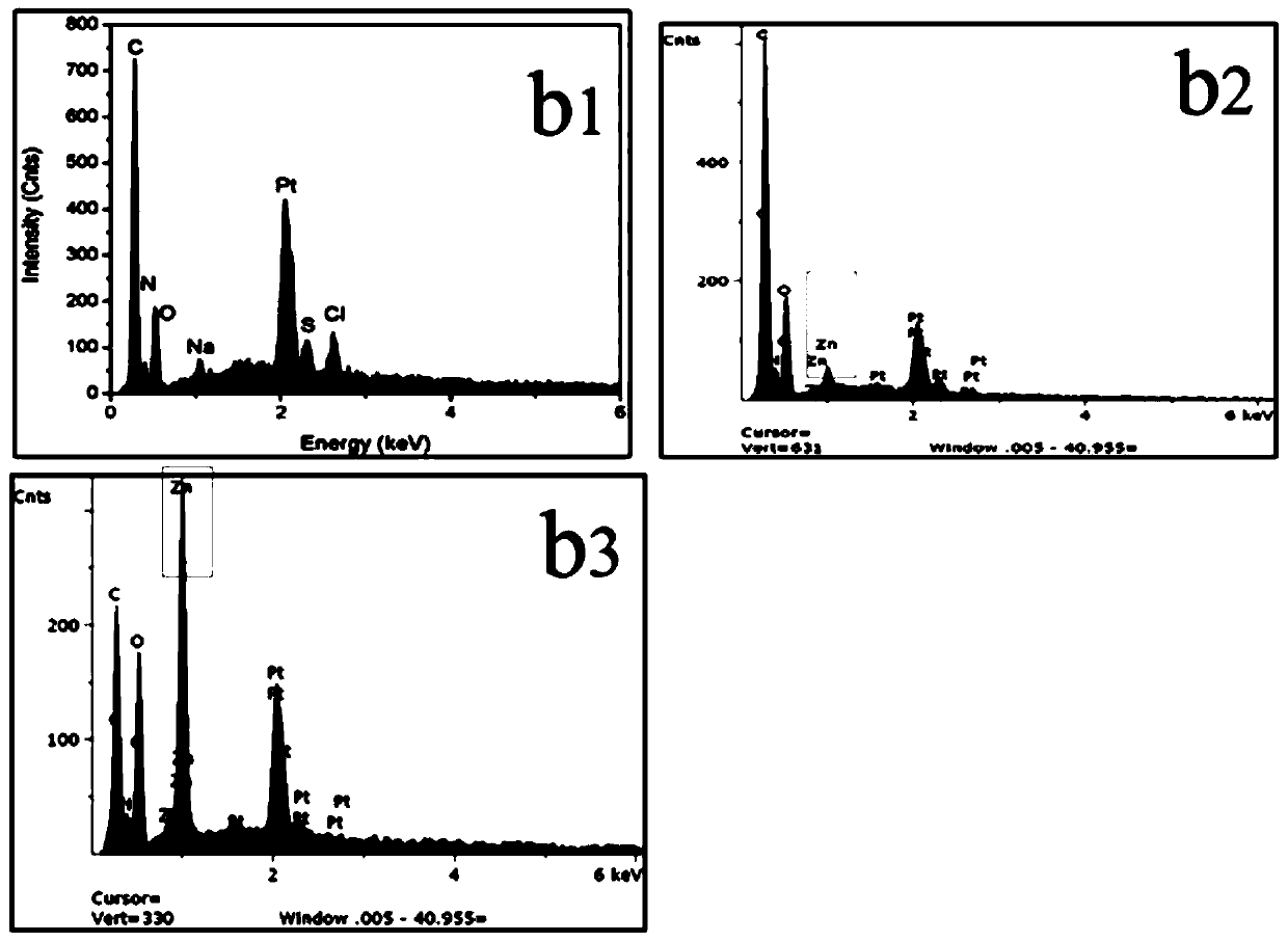 Preparation method of zin-ion-containing tissue engineering scaffold with anti-inflammatory function