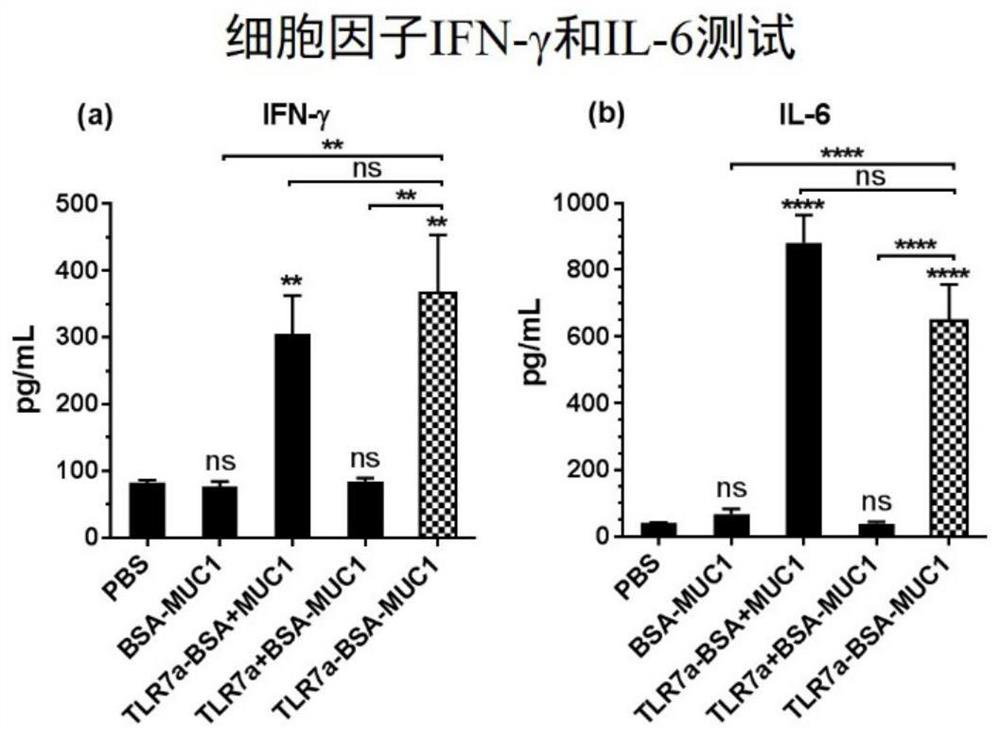 Anti-tumour vaccine molecule, and preparation method and application thereof