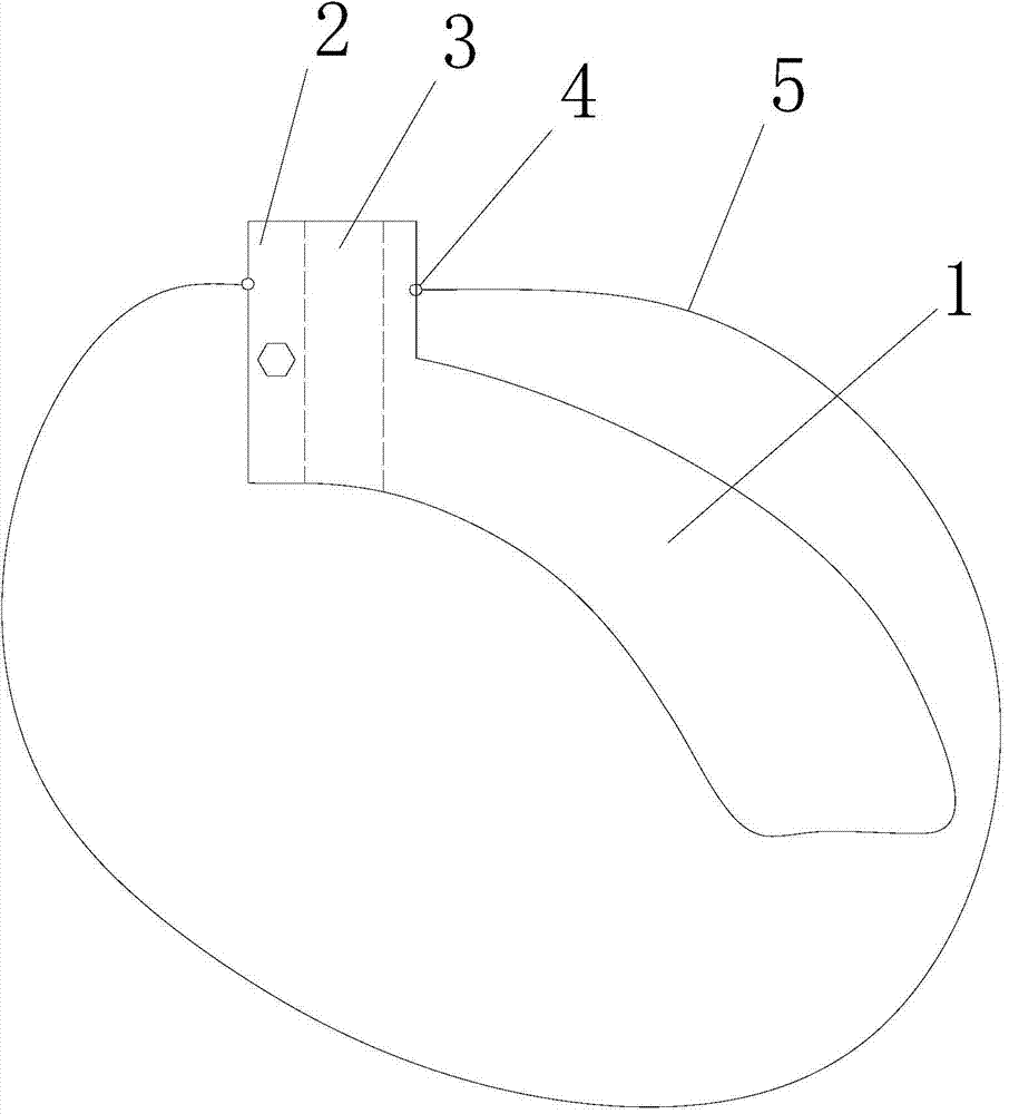 Trachea cannula fixing device