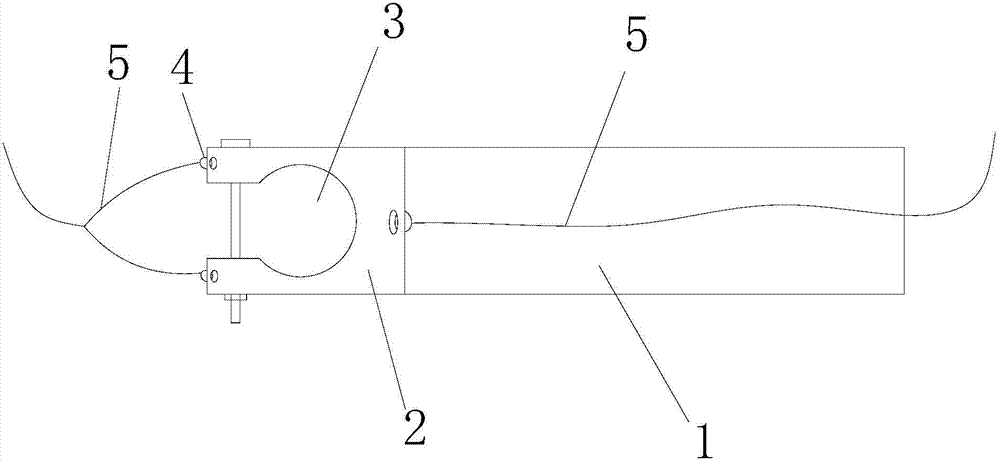 Trachea cannula fixing device