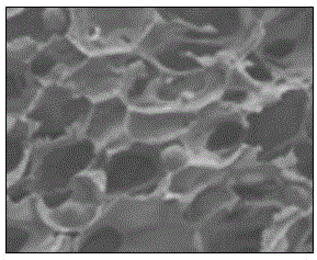 Refuse lac chain-extended modification powder and preparation method thereof